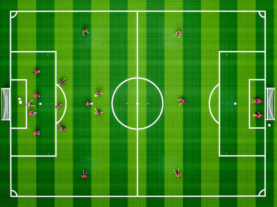 开云app-大数据参与教练选材提供辅助参考，大数据培训资料库  第2张